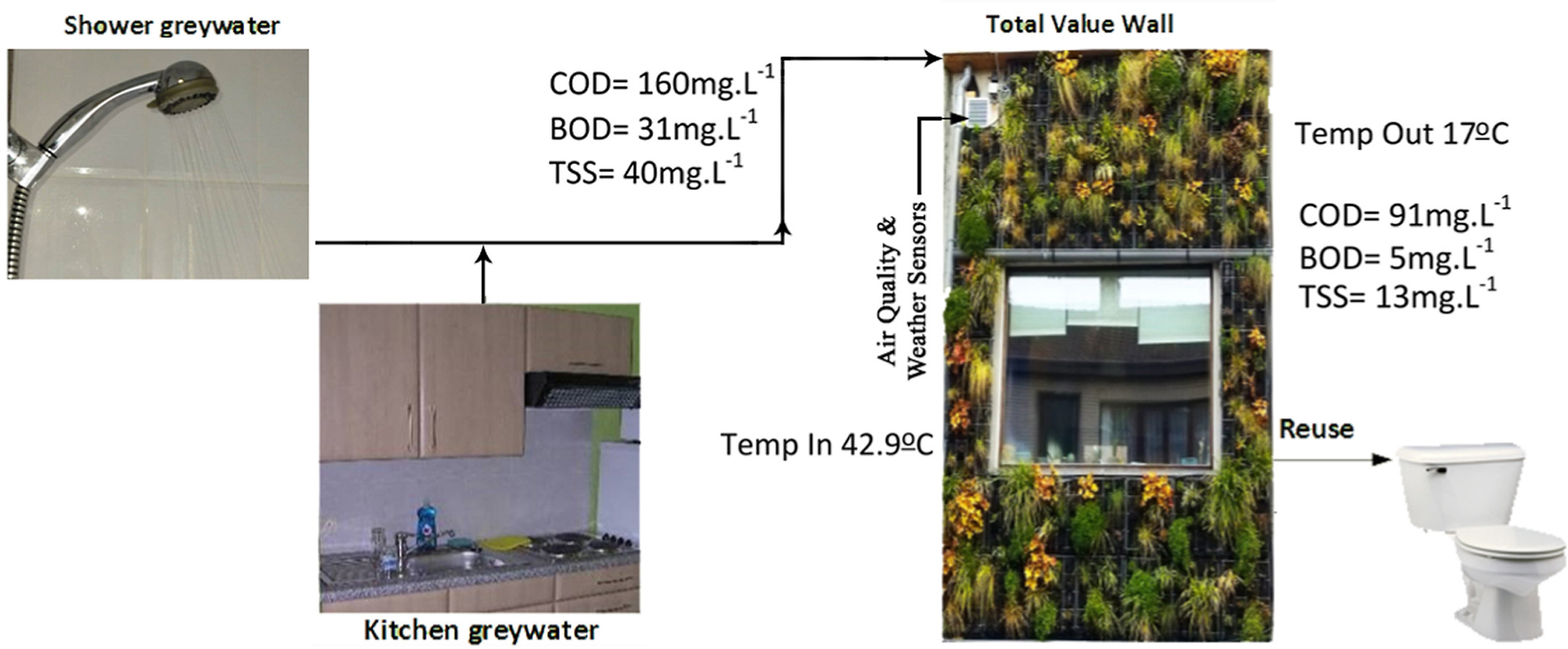 Total value wall: Full scale demonstration of a green wall for grey water treatment and recycling